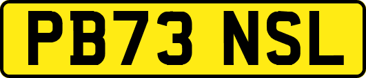 PB73NSL