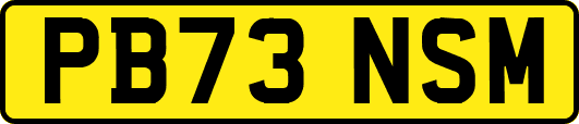 PB73NSM