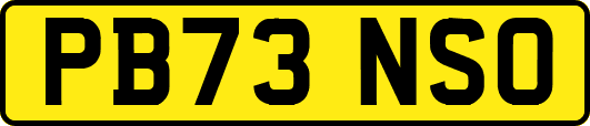 PB73NSO