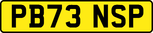 PB73NSP