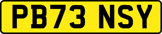PB73NSY