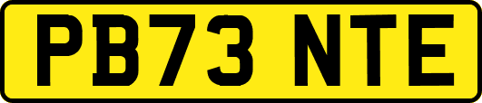 PB73NTE