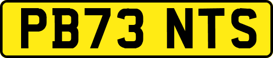 PB73NTS