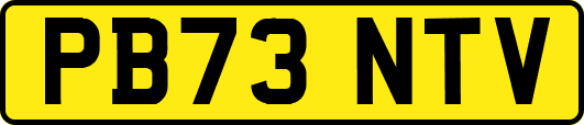 PB73NTV