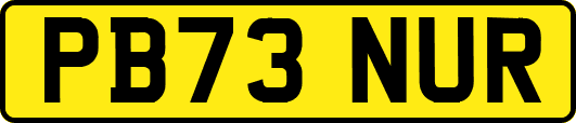 PB73NUR