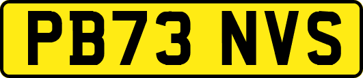 PB73NVS