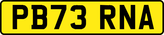 PB73RNA