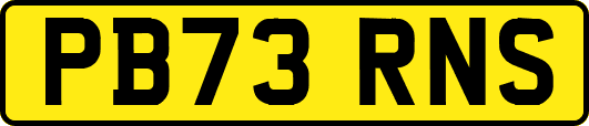 PB73RNS