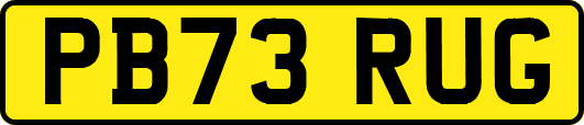 PB73RUG