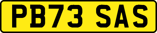 PB73SAS