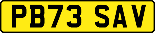 PB73SAV