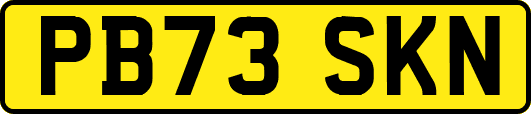 PB73SKN