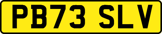 PB73SLV