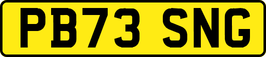 PB73SNG
