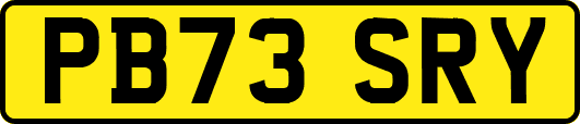 PB73SRY