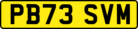 PB73SVM