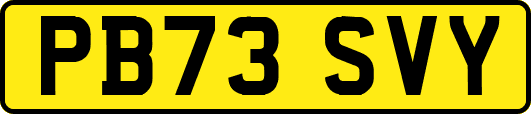 PB73SVY