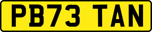 PB73TAN