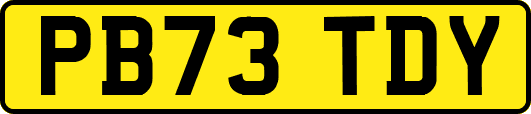 PB73TDY