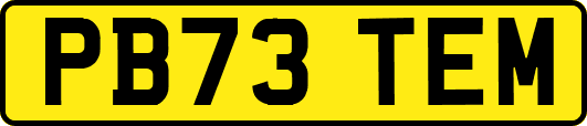PB73TEM