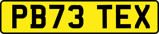 PB73TEX