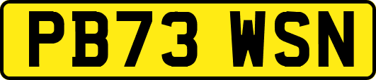 PB73WSN