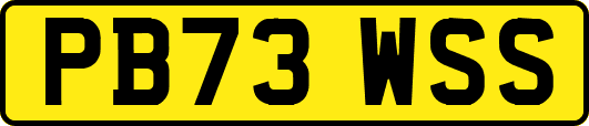 PB73WSS