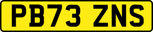 PB73ZNS