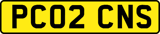 PC02CNS