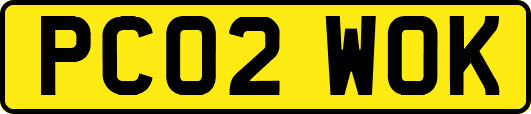 PC02WOK