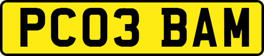 PC03BAM