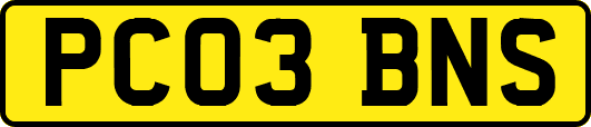 PC03BNS
