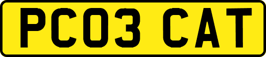 PC03CAT