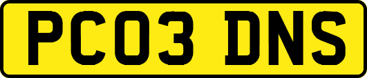 PC03DNS