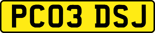 PC03DSJ