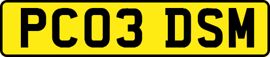 PC03DSM
