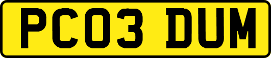 PC03DUM