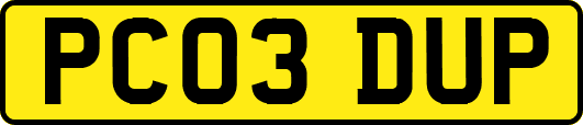 PC03DUP