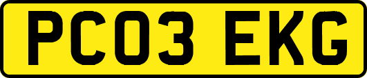 PC03EKG