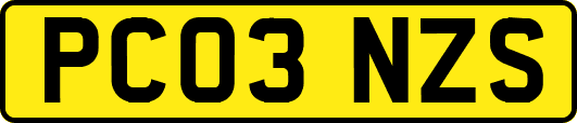 PC03NZS