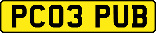 PC03PUB
