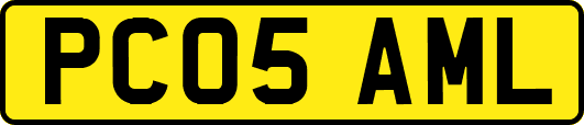 PC05AML