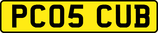 PC05CUB