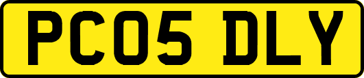 PC05DLY