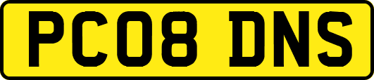 PC08DNS
