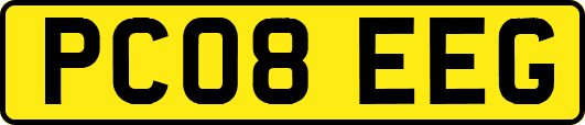 PC08EEG