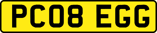 PC08EGG
