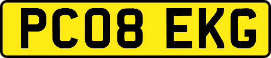 PC08EKG