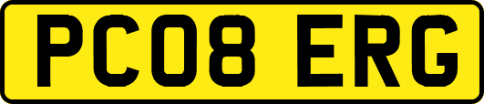 PC08ERG