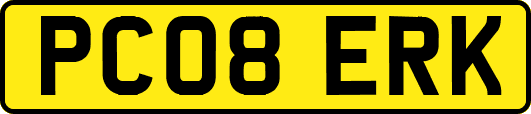 PC08ERK